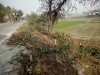 পাকা রোডের সাথে জমি বিক্রয়